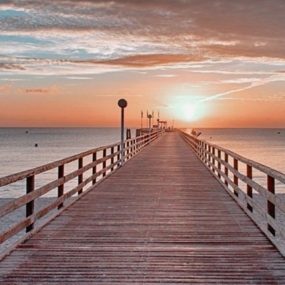 Meet your Posher, Marley